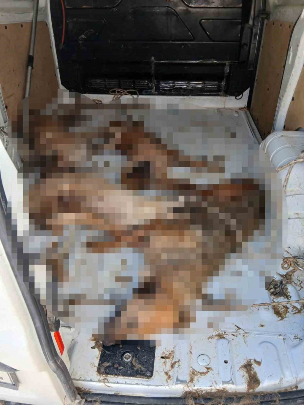 Nakil aracı değil, ölüm kafesi