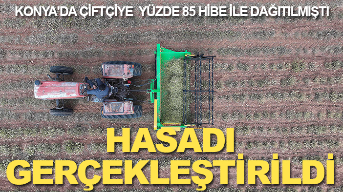 Konya'da çiftçiye  yüzde 85 hibe ile dağıtılmıştı: Hasadı gerçekleştirildi