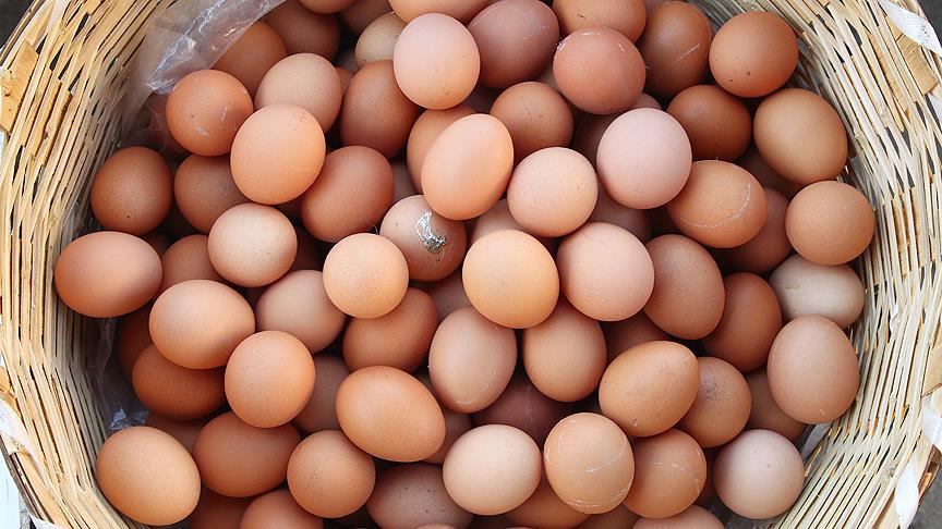 Bakanlık açıkladı: Sofralık yumurtadan kaldırıldı