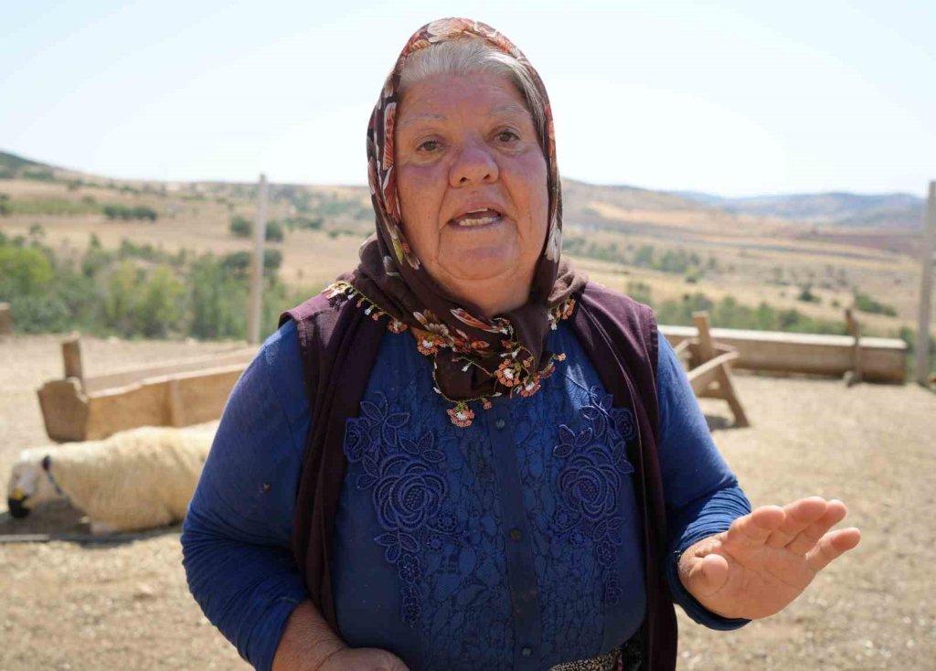 Kırıkkale’de iki ayrı besicinin 210 hayvanı telef oldu