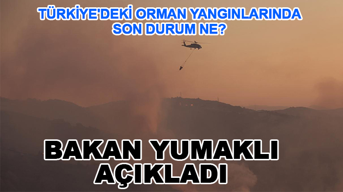 Türkiye'deki orman yangınlarında son durum ne? Bakan Yumaklı açıkladı