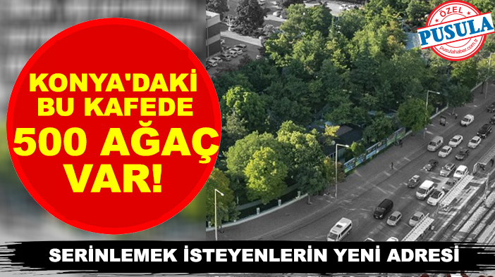 Konya'nın kalbindeki 500 ağaçlı kafe serinlemek isteyenlerin adresi oldu!