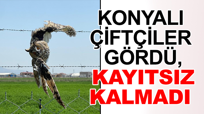 Konyalı çiftçiler gördü, kayıtsız kalmadı