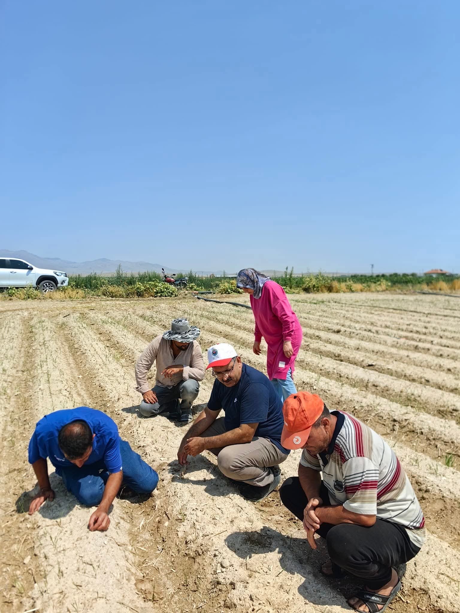 Karapınar Ziraat Odası'ndan tarla ziyareti