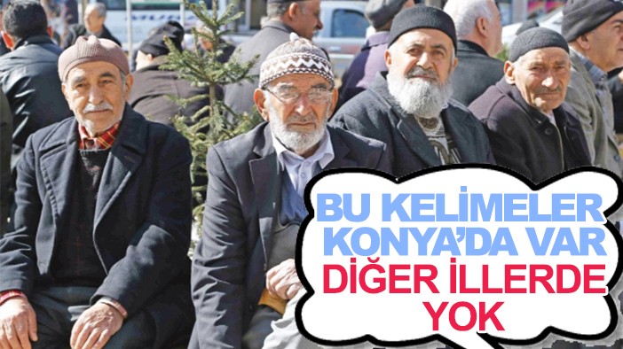 Bu kelimeler Konya'da var diğer illerde yok