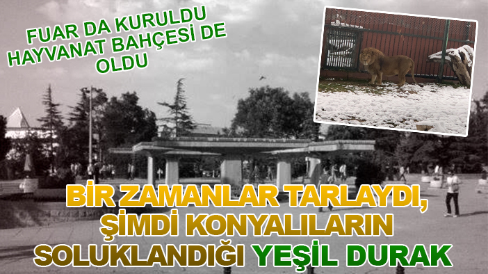Bir zamanlar tarlaydı, şimdi Konyalıların soluklandığı yeşil durak