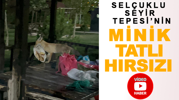 Selçuklu Seyir Tepesi’nin minik tatlı hırsızı