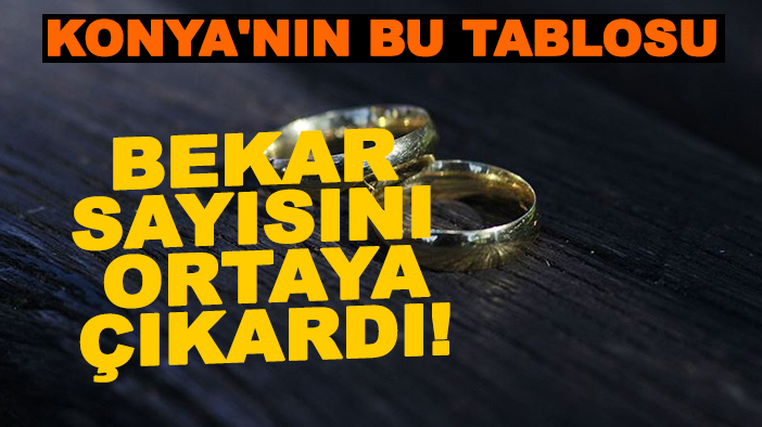 Konya'da hiç evlenmemiş 55 bin 590 erkek var!