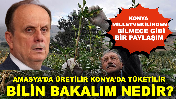 Konya Milletvekilinden bilmece gibi bir paylaşım: Amasya'da üretilir Konya'da tüketilir bilin bakalım nedir?