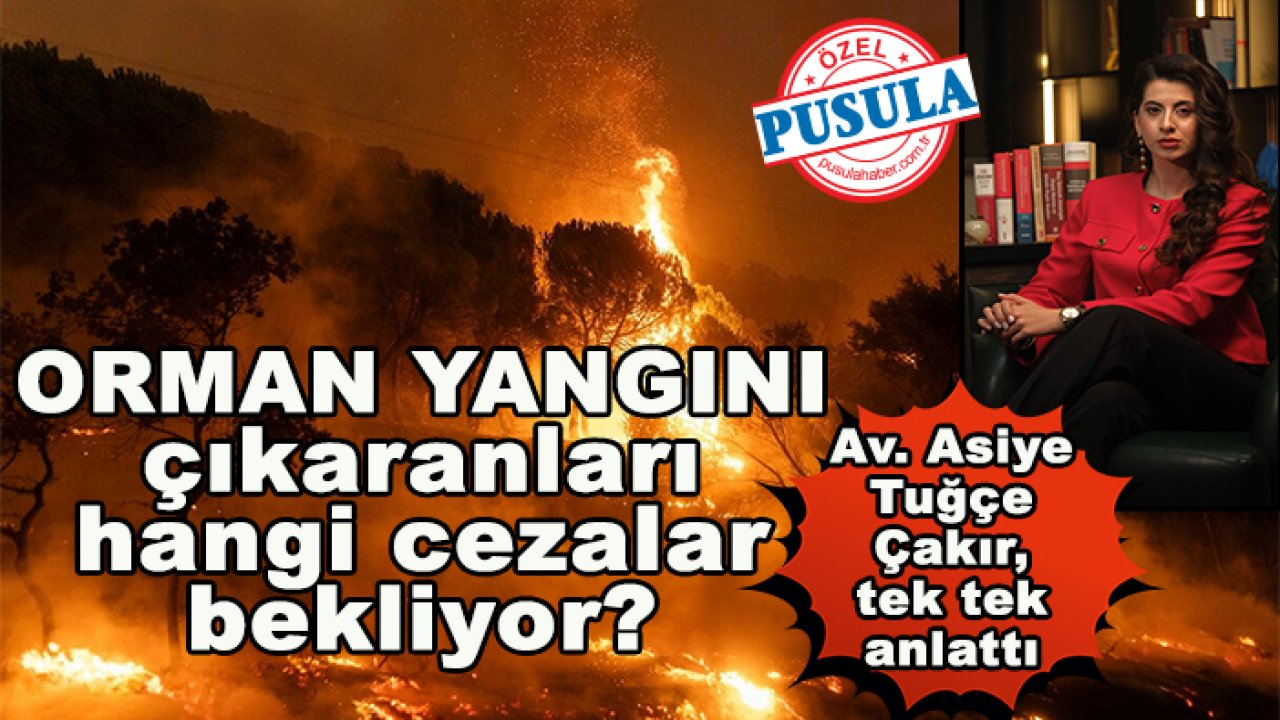 Orman yangını çıkaranları hangi cezalar bekliyor?