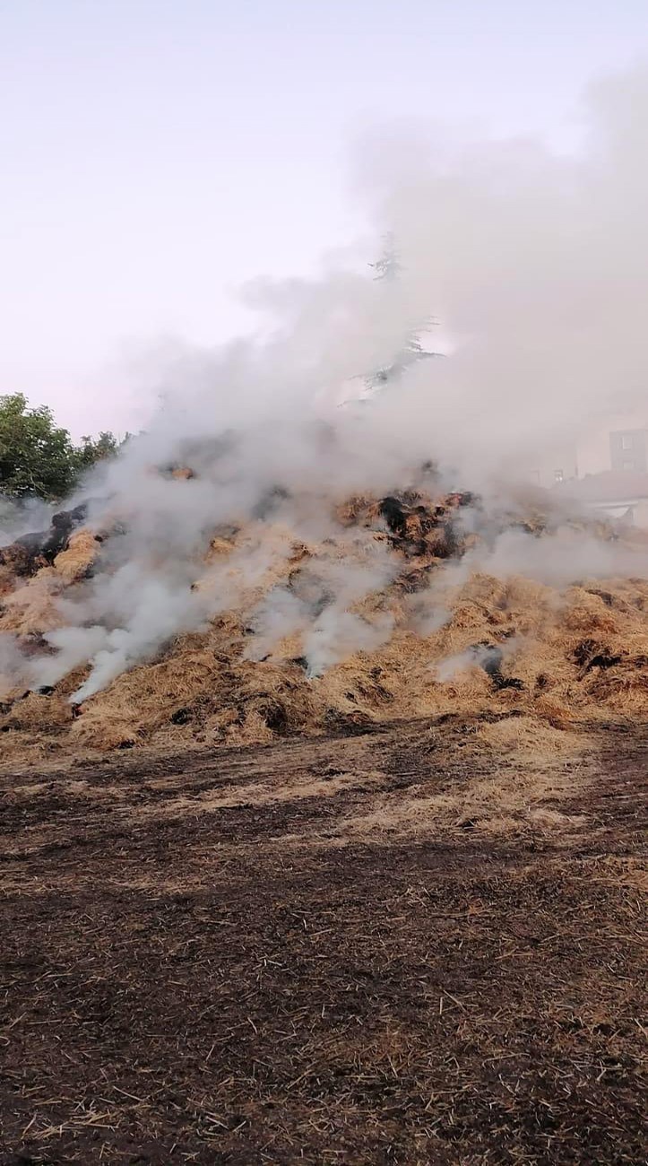 Ereğli’de saman balyası yangını