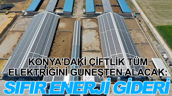 Konya'daki çiftlik tüm elektriğini güneşten alacak: Sıfır enerji gideri