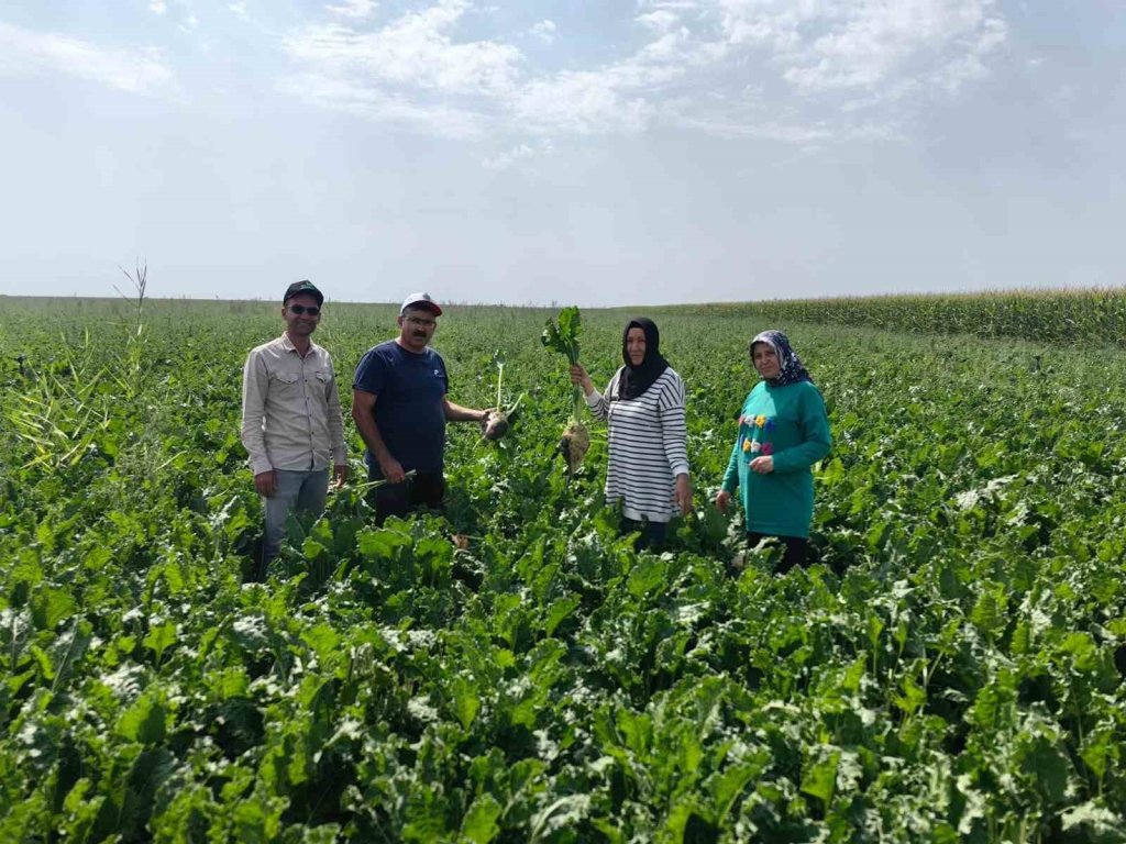 Konya'nın ilçesinde baharlık ürünler incelendi