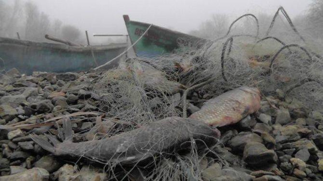 BEYŞEHİR GÖLÜ'NDEN GEÇEN YIL 225 TON BALIK ÇIKTI