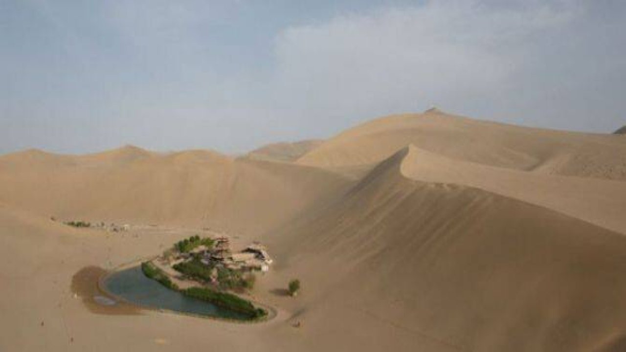 Çölün ortasında şaşırtan hayat