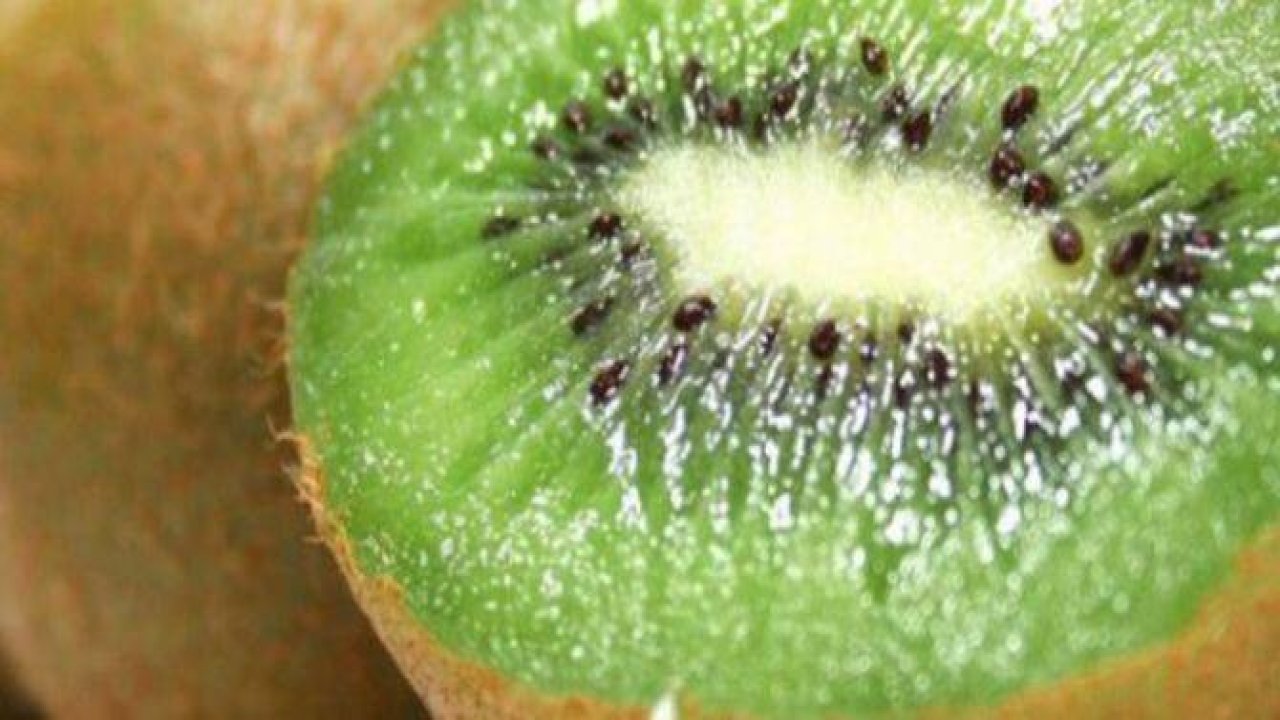 Kanserden Koruyan Yiyecekler