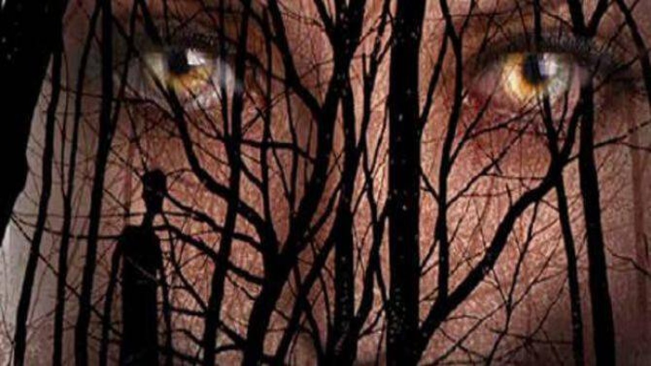 Türkiye'nin tüyler ürpertici sırları