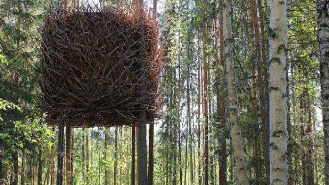 Birbirinden harika ağaç evler