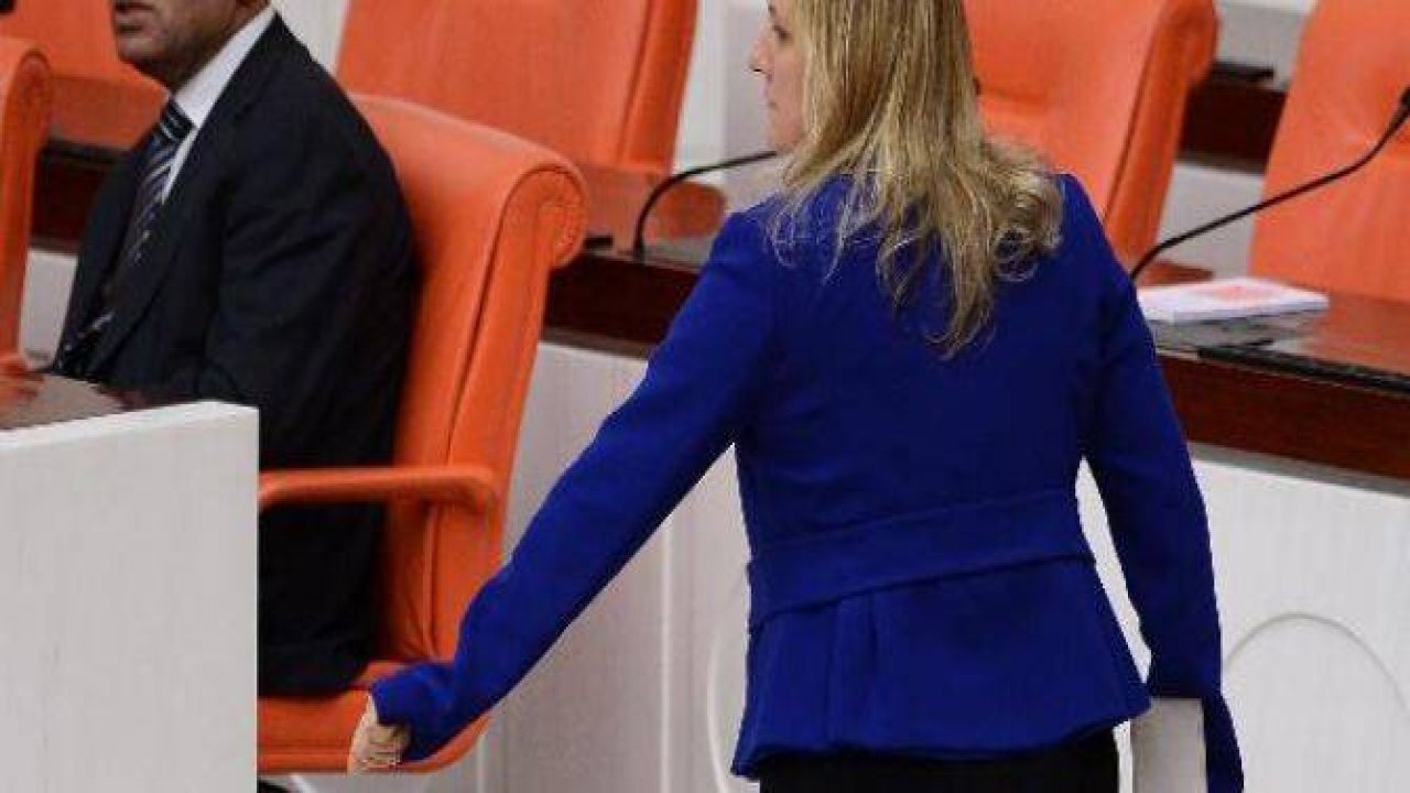 AK Partili vekil laf attı, CHP'li Hamzaçebi'den iltifat aldı