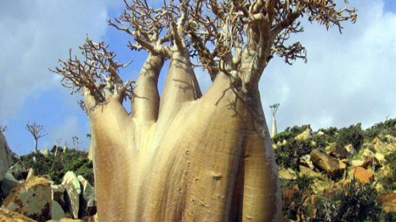 İşte dünyanın en gizemli adası