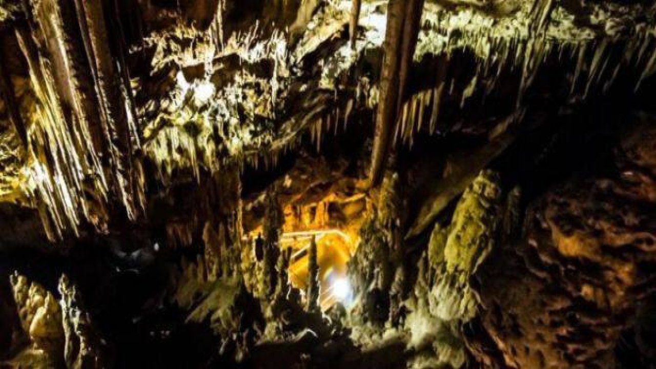 Fay hatlarından gelen güzellik