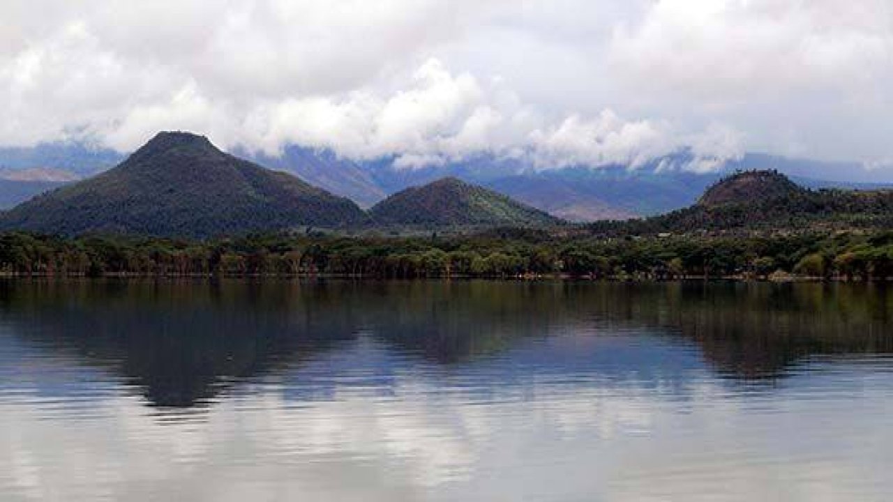 Büyüleyen göl: Lake Naivasha