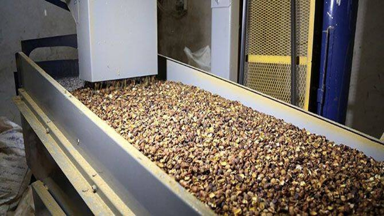 Yemen'de Ramazan öncesi kahve telaşı