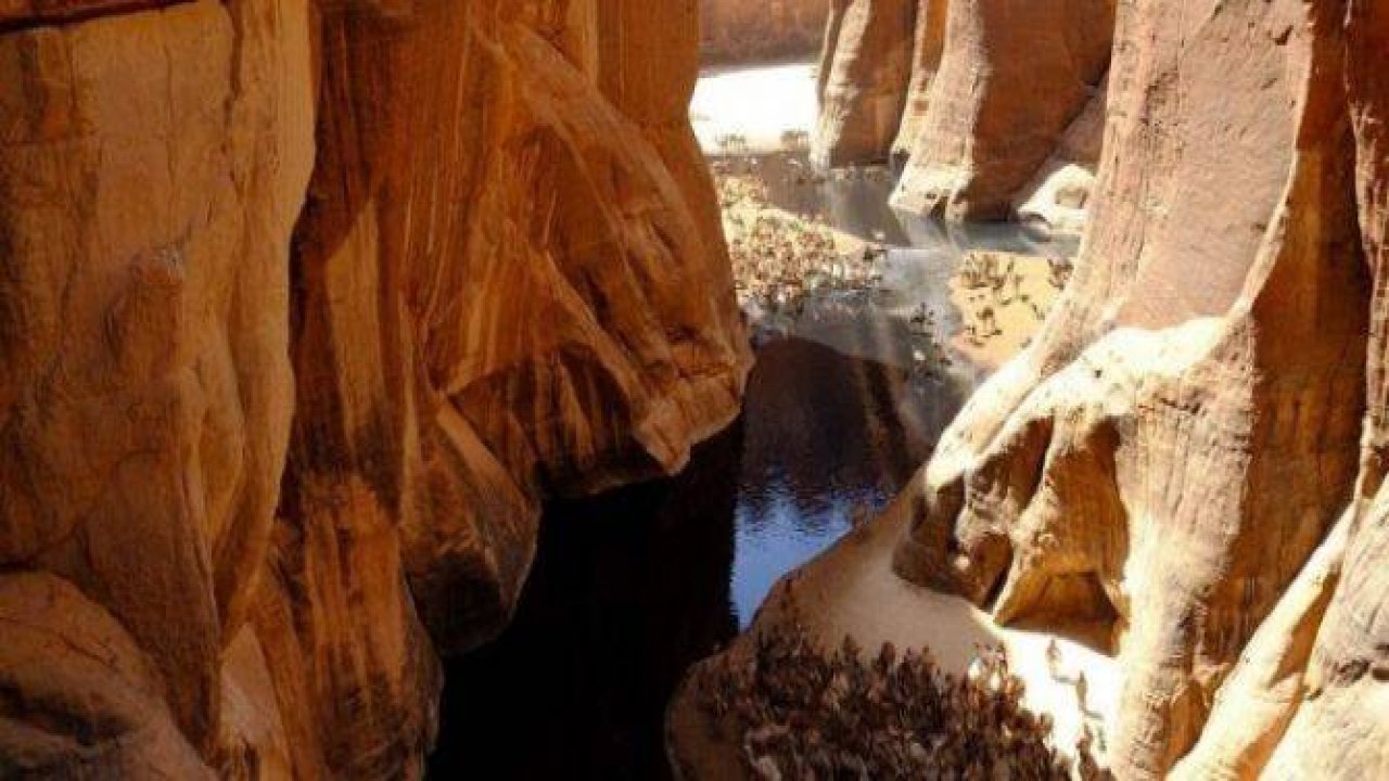 Çöldeki vahanın sırrı çözüldü