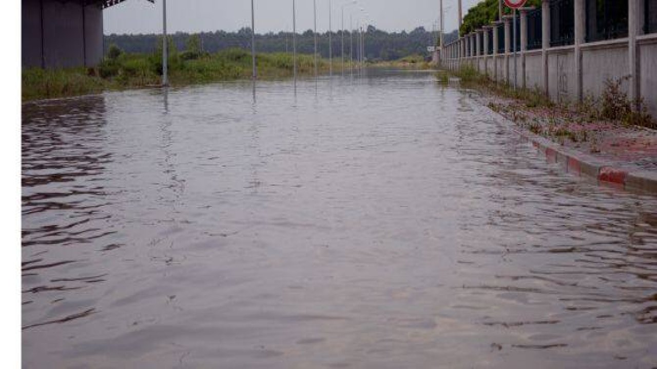 SAĞNAK YAĞIŞLAR SELE YOL AÇTI