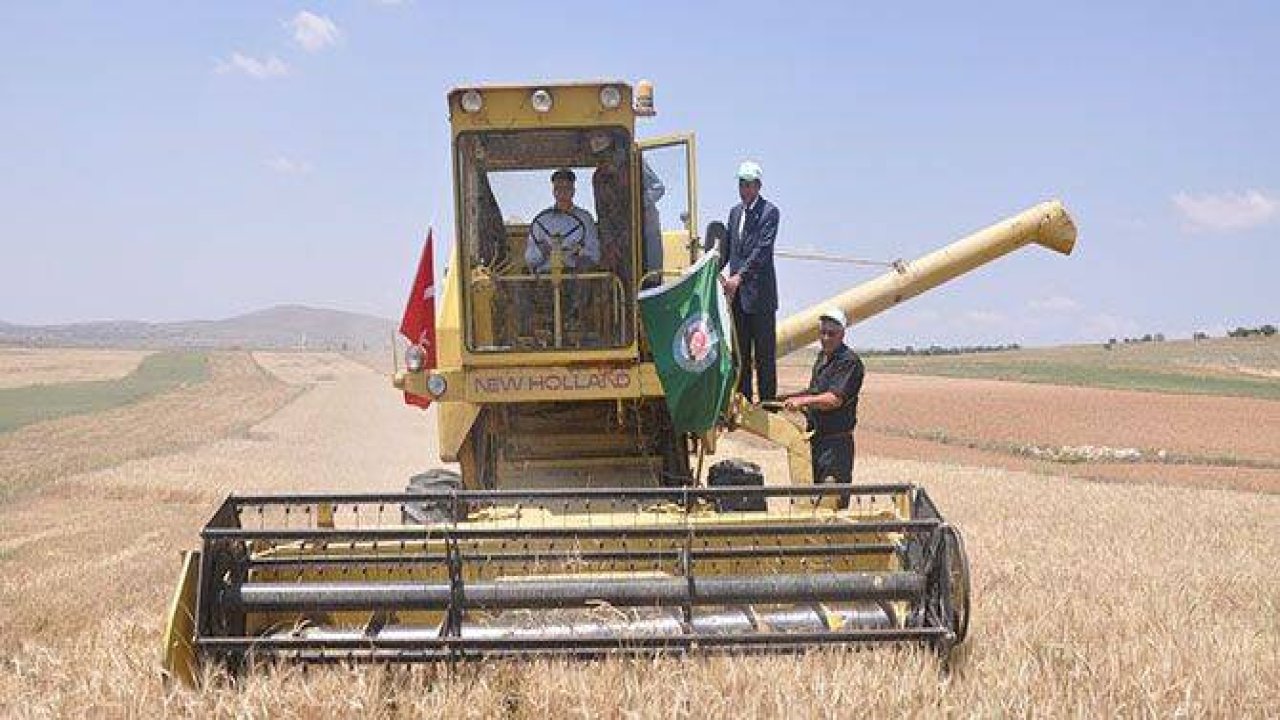 Olmayan hasatın bayramı