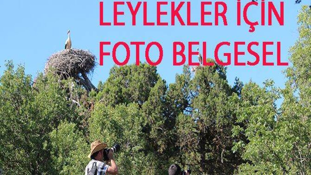 LEYLEKLER İÇİN FOTO BELGESEL
