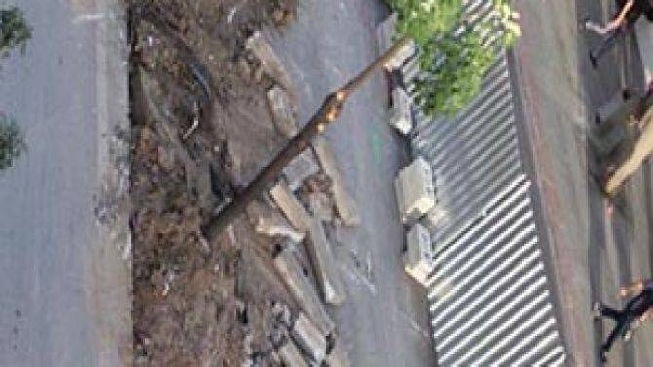 Mevlana Caddesi'nde ağaç katliamı