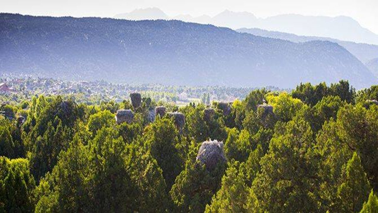 Leylekler Vadisi'nden enstantaneler