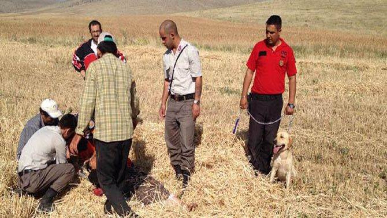 Kayıp kadını "Barut" buldu