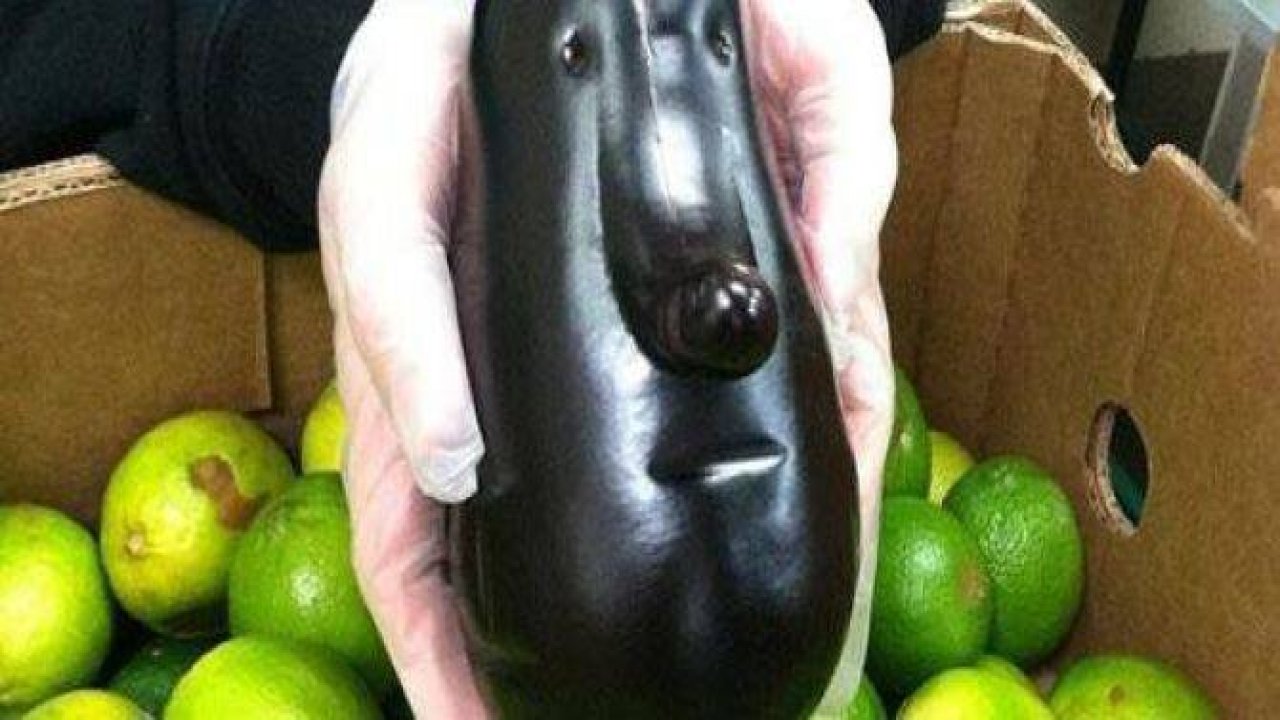 TUHAF GÖRÜNÜMLÜ SEBZELER