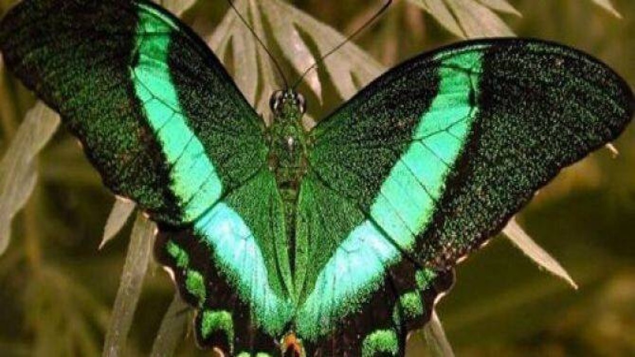 En İlginç Bilgiler