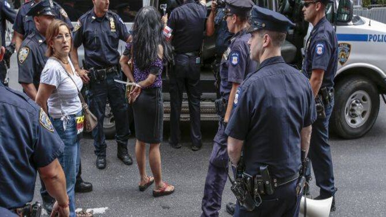 Norman Finskelstein gözaltına alındı