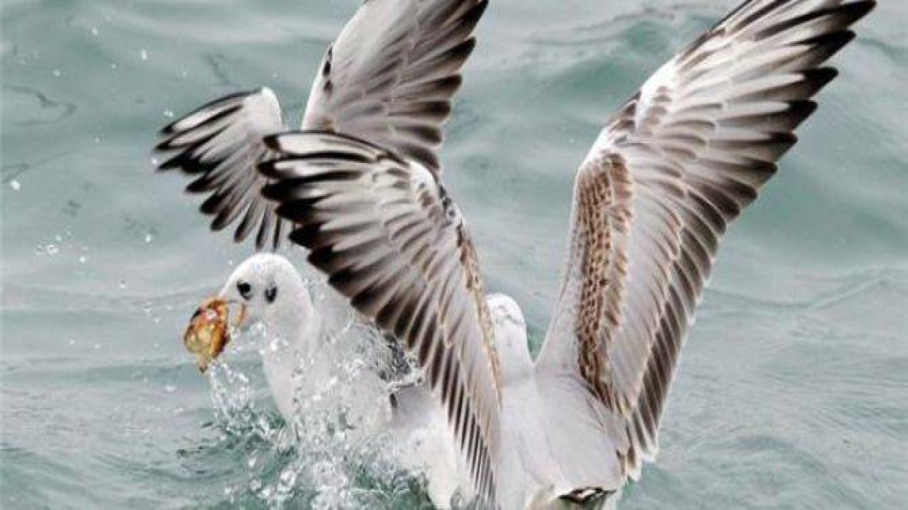 İLGİNÇ AMA GERÇEK BİLGİLER