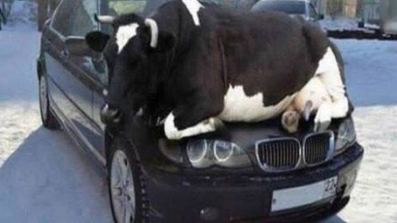 Günün en ilginç fotoğrafları