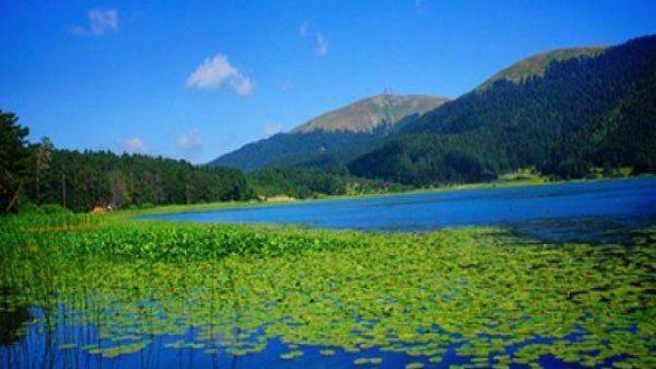 Anadolu'nun incileri