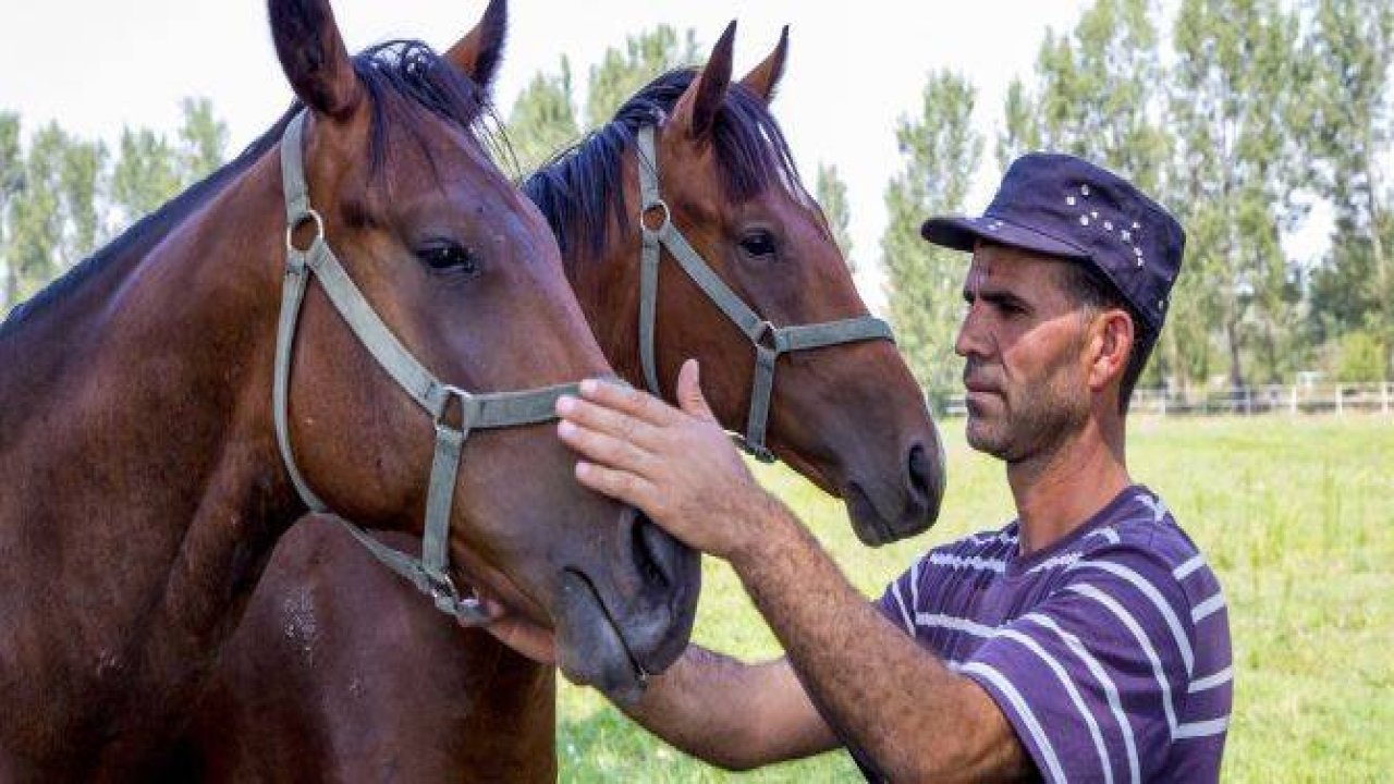 Ereğli'nin ayrık otu, yarış atlarını koşturuyor