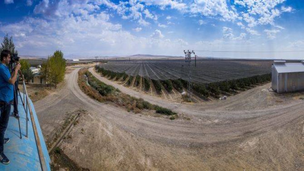 Bu elma bahçesi 700 futbol sahası büyüklüğünde