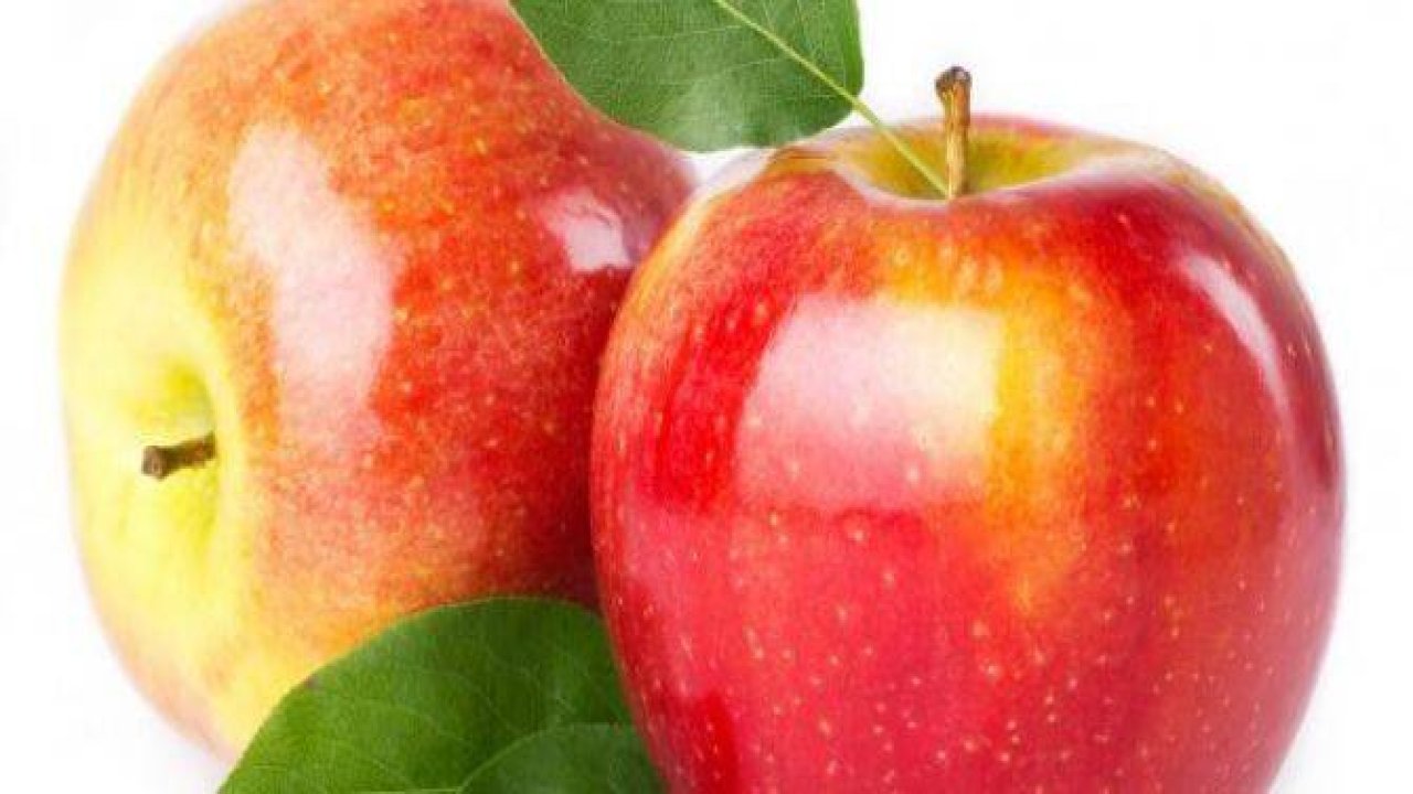 İbn-i Sina'yla şifaya giden yol