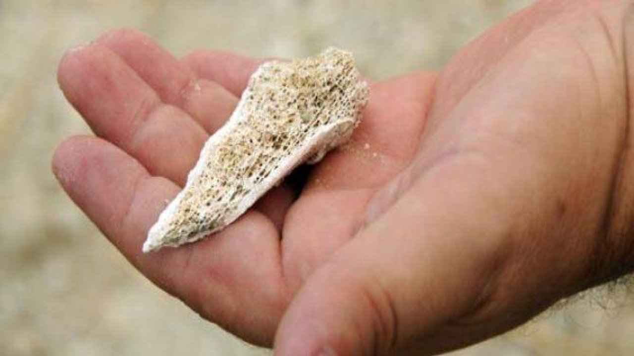 Gelibolu'da yeni bir şehitlik bulundu