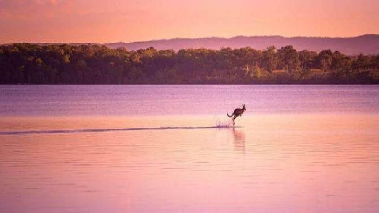 NG'den en iyi doğa fotoğrafları