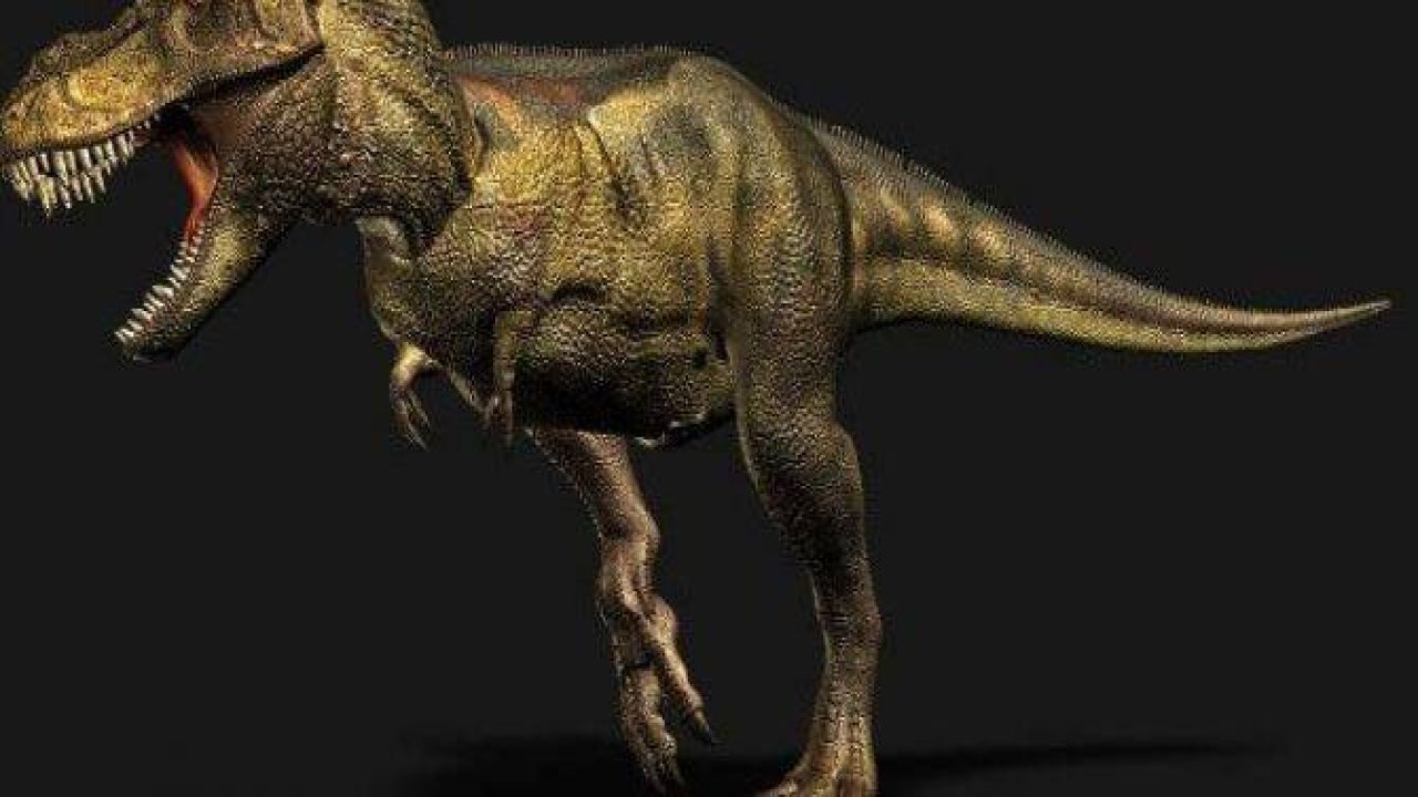 Türleri yok olan 10 canlı