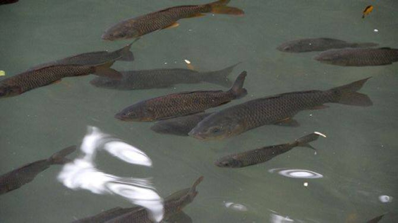 Karagöl'de sonbahar bir başka