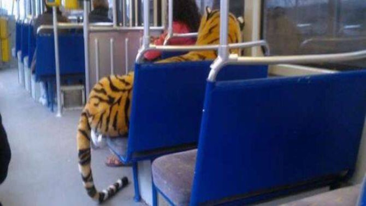 Günün en komik fotoğrafları