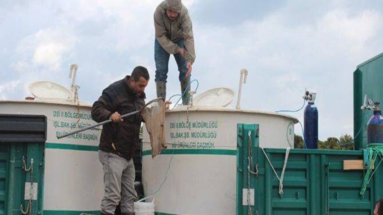 Beyşehir Gölü'ne bilimsel operasyon