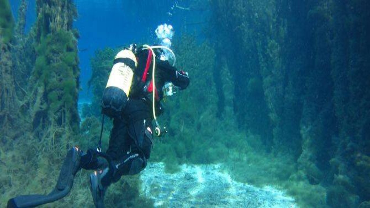 "Doğal akvaryum"da dalış keyfi